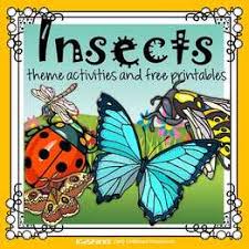 Insects